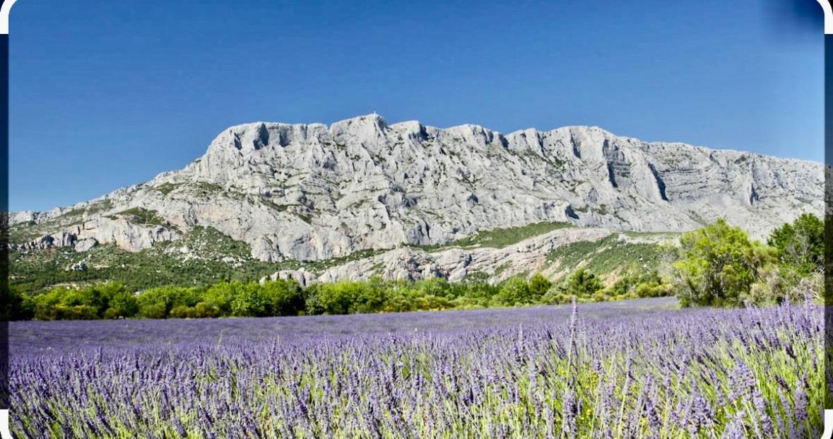 Joli Studio Le Clos D'Aix Avec Grande Terrasse Piscine Et Parking Gratuit Экс-ан-Прованс Экстерьер фото